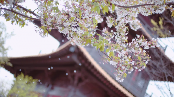 老莊20句箴言，感悟先哲大智慧