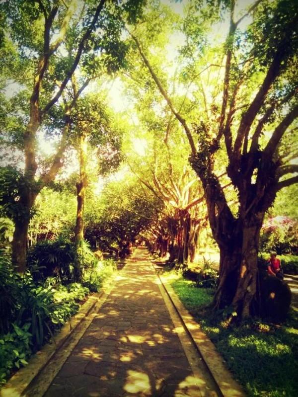 特別漂亮的路風景分享