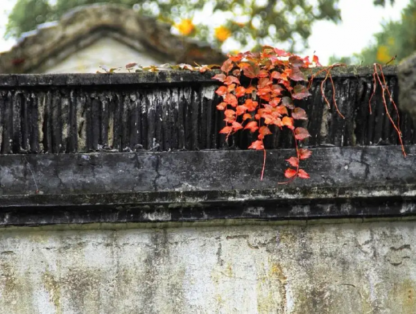 58歲阿姨傾訴：找有6000退休金的老頭搭夥，一年不僅搭錢還出了力