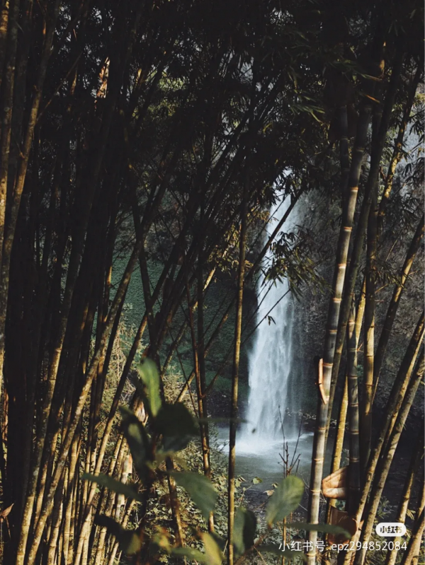 這是旅行博主眼中的屏邊……