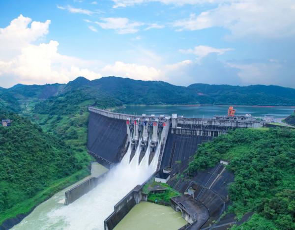 百色水庫:蓄水16年養出“一身病”,以魚保水“對症下藥”? 百色水庫:蓄水16年養出“一身病”,以魚保水“對症下藥”?