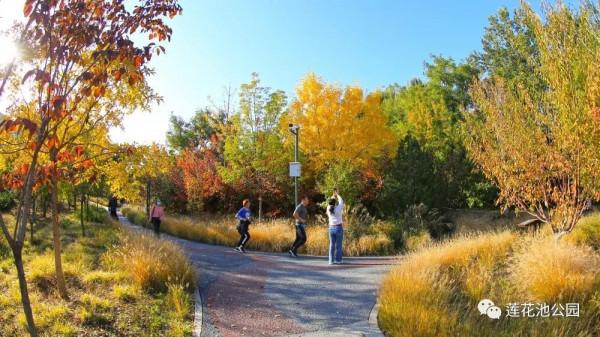 【FENG景】創森動態 | 蓮花池公園多彩的秋天