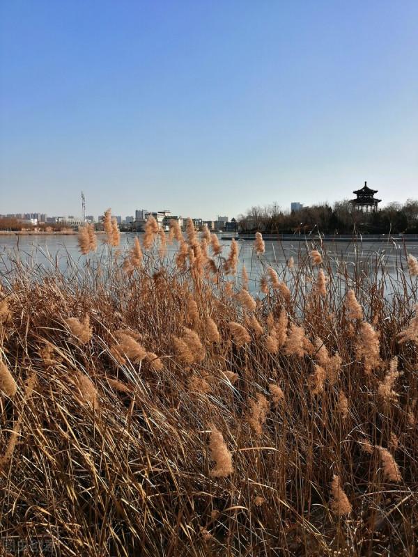 跟著林黛玉沿著京杭大運河去北京，沿途11個城市的秋天太美了