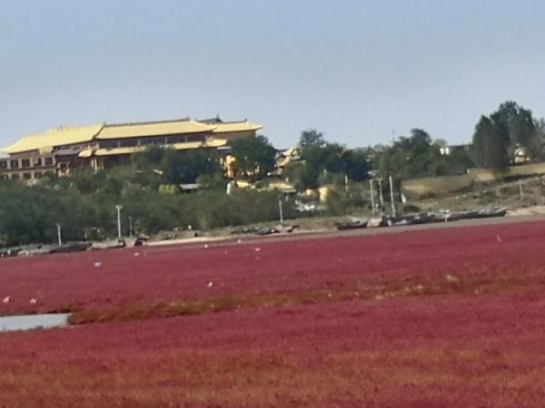 蓋州北海紅海灘 蓋州北海紅海灘