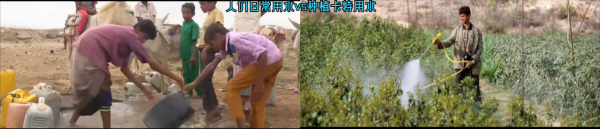 葉門：被草毀掉的地方，全民吸毒的國家