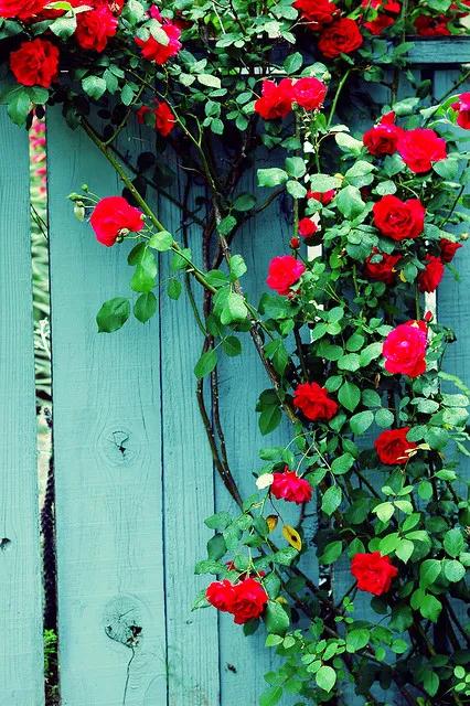 散文:中年回首,人生不過如此 散文:中年回首,人生不過如此