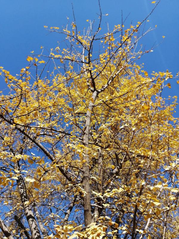 最美陶然亭 最美陶然亭