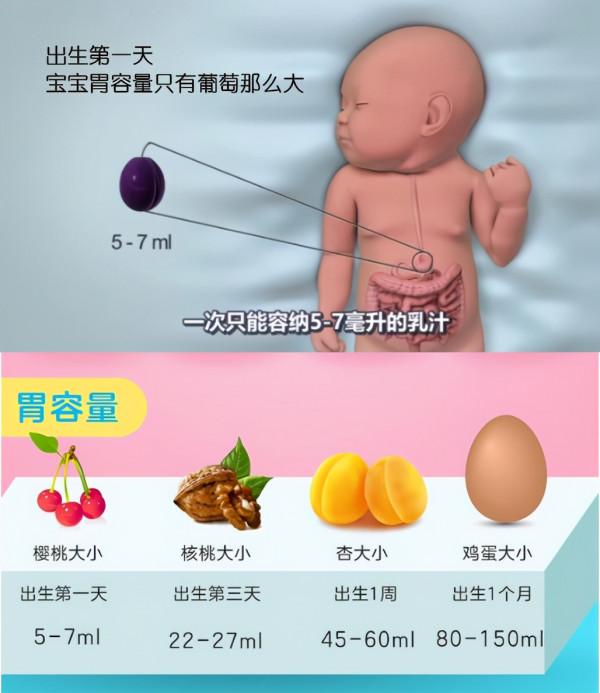 6個新生兒餵養問題：啥時候喂、怎麼喂、如何看是否吃飽？別喂錯