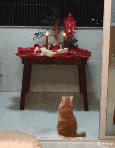 美的集團要不要抄底? 美的集團要不要抄底?