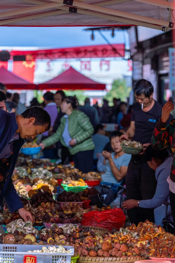 全國立冬喝湯地圖，一碗下去，全身都暖和了