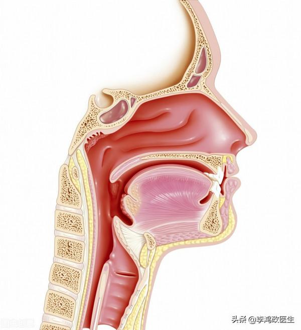 女子脖子長包,診斷鼻咽癌晚期,堅持33次化療:為了父母不放棄 女子脖子長包,診斷鼻咽癌晚期,堅持33次化療:為了父母不放棄