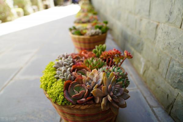 檯球廳來了個小男孩，讓我想起那個在垃圾桶裡翻東西吃的人