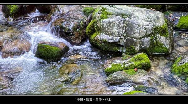 終南山牛背梁:靜謐的羚牛谷,溪、潭、瀑、橋可能並不是它的全部 終南山牛背梁:靜謐的羚牛谷,溪、潭、瀑、橋可能並不是它的全部