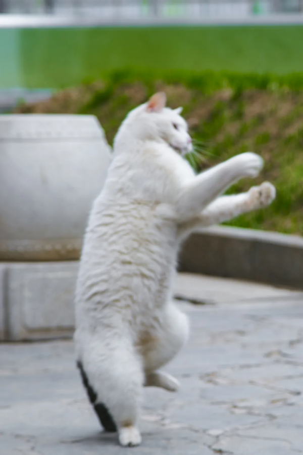 脖子扭扭屁股扭扭，久坐傷身讓我們來做運動