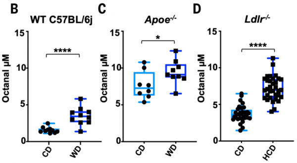 《科學》：炎症竟會循&OpenCurlyDoubleQuote;味兒&rdquo;而動！科學家發現，血管巨噬細胞存在嗅覺受體，與血液中的辛醛互作引發炎症，導致動脈粥樣硬化丨科學大發現