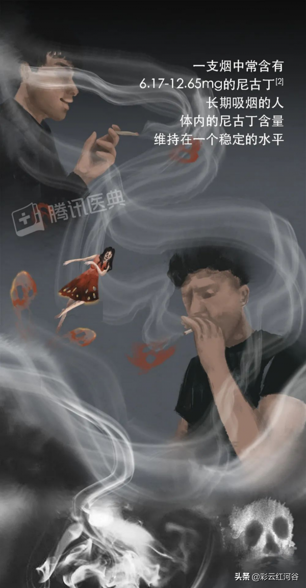 開始戒菸後，身體究竟會經歷什麼？