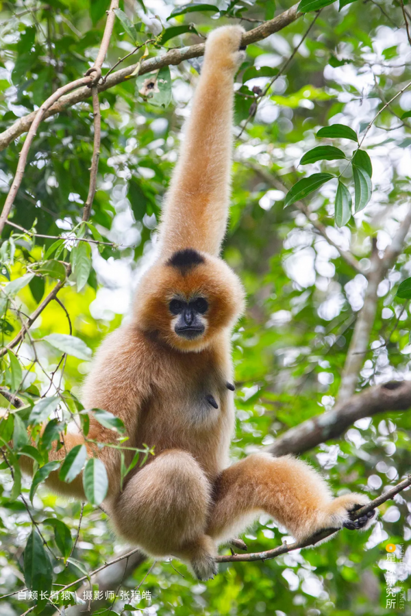出發!穿越中國最長國道219 出發!穿越中國最長國道219