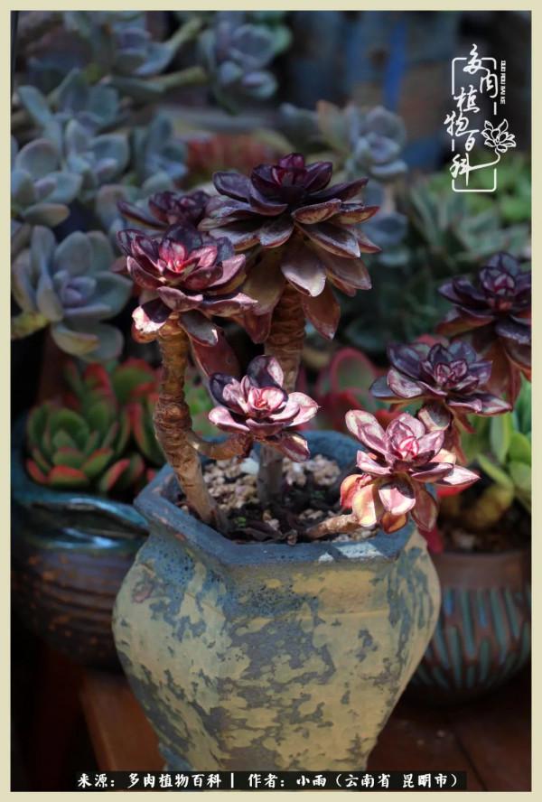 用一份熱愛，溫暖一段時光