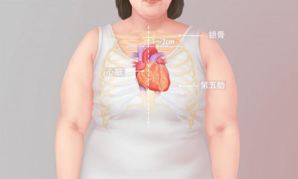 心臟在哪邊左還是右