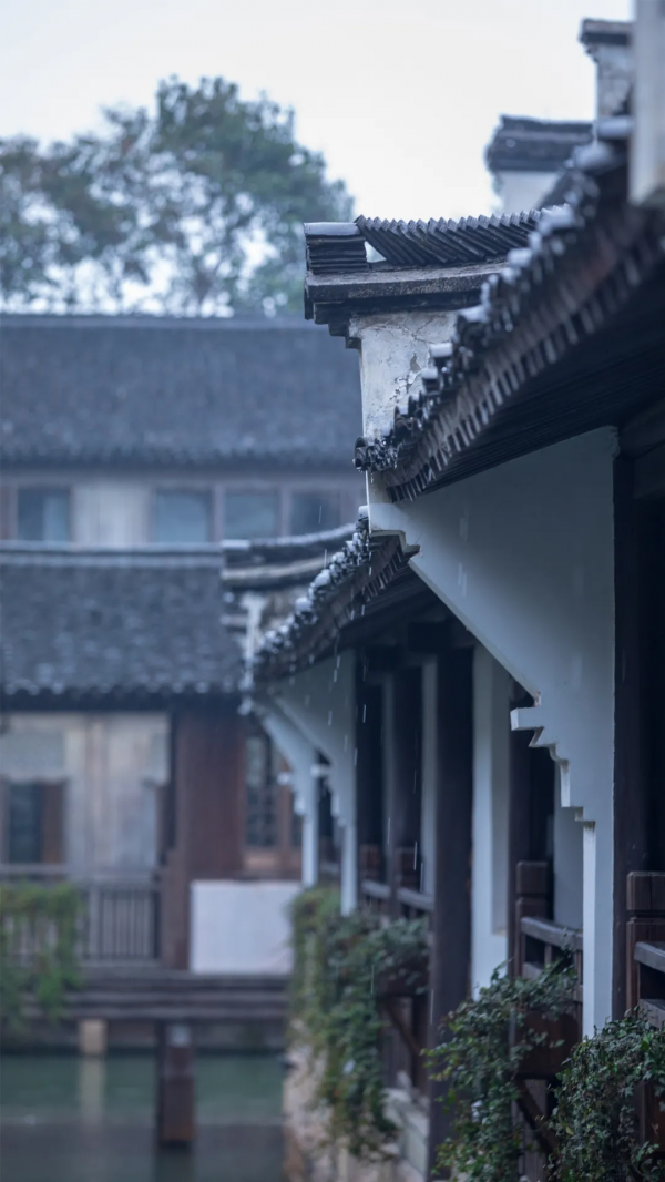 一葉知秋,烏鎮秋天的第一波美圖,誰看誰心動 | 烏鎮•美圖 一葉知秋,烏鎮秋天的第一波美圖,誰看誰心動 | 烏鎮•美圖