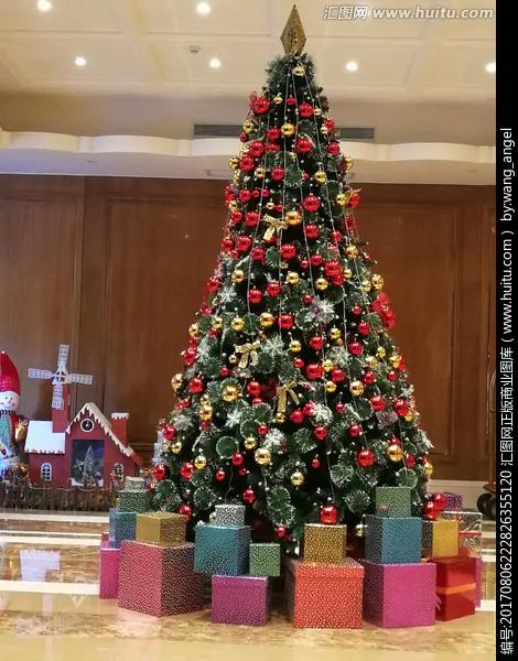 為什麼聖誕樹上有顆星星⭐️呢 為什麼聖誕樹上有顆星星⭐️呢