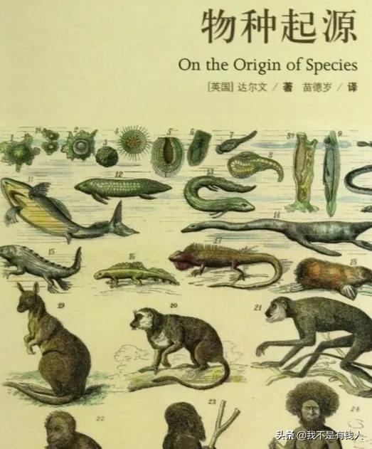 為什麼嫉妒，炫耀，謊言這些缺陷在人類進化過程中沒有被淘汰掉？