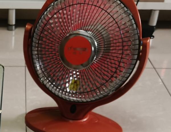 鸚鵡雛鳥保暖6大辦法,這樣做恆溫、節能、省錢還簡單 鸚鵡雛鳥保暖6大辦法,這樣做恆溫、節能、省錢還簡單