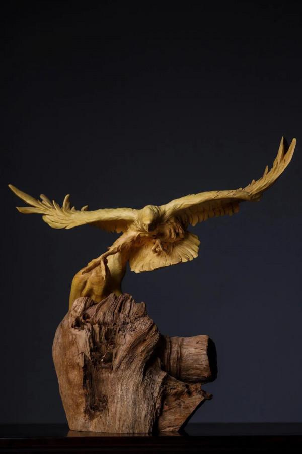 黃楊木 | 鵬程萬里