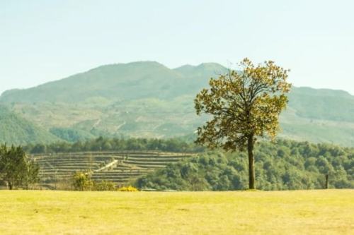 《唐詩三百首》中12位低調的詩詞大神,一人一首傳世名篇 《唐詩三百首》中12位低調的詩詞大神,一人一首傳世名篇
