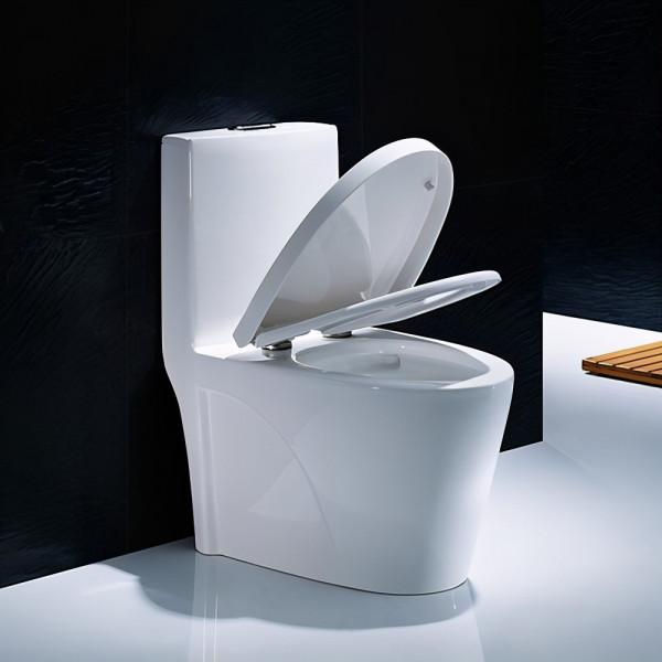 馬桶應該怎麼選？我買過兩個馬桶，建議大家搞清楚這些方面再來選