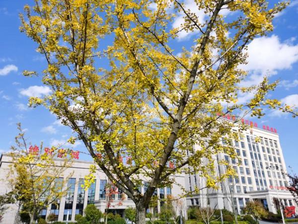 南疆光影 | 看！秋季的軍營美如畫