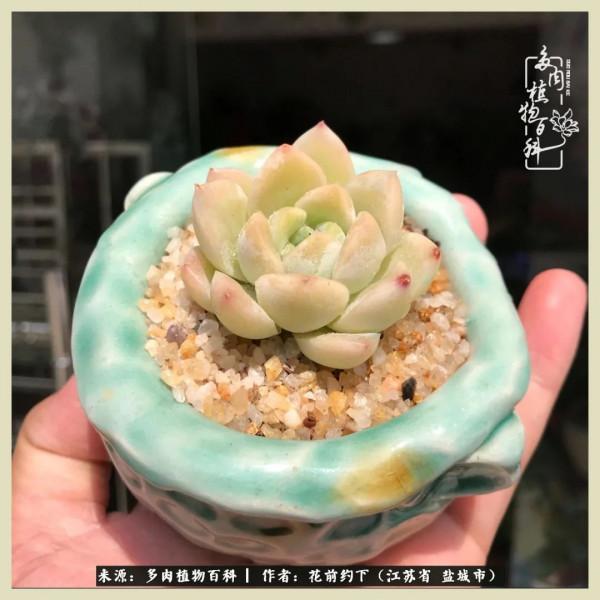 你儘管善良,福報都在路上 你儘管善良,福報都在路上