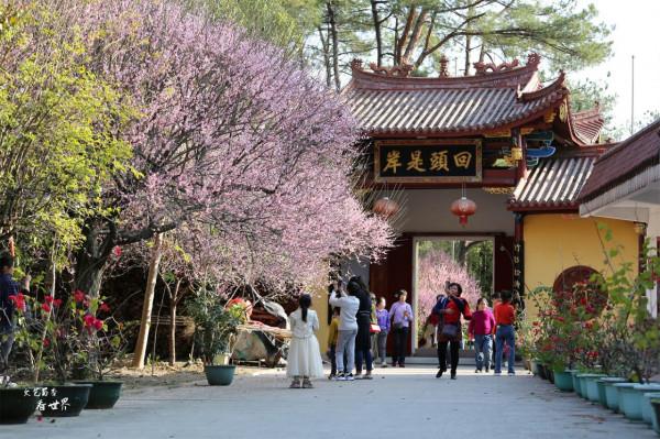 除了三亞、北海和版納,福建有3座城市也很適合北方人過冬養老 除了三亞、北海和版納,福建有3座城市也很適合北方人過冬養老