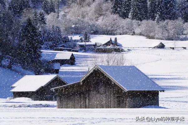 厚外套，今冬必備！太撩了