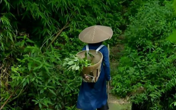 張仲景：掌握生活“三部曲”，讓陽氣歸還