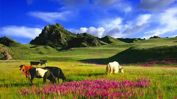 疫情過後一定要去打卡的11個網紅景點,人少景美,你準備好了嗎? 疫情過後一定要去打卡的11個網紅景點,人少景美,你準備好了嗎?