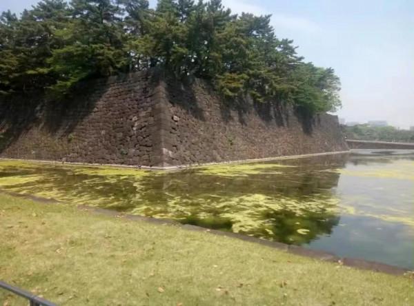 日本旅行漫記之十：東京拾零