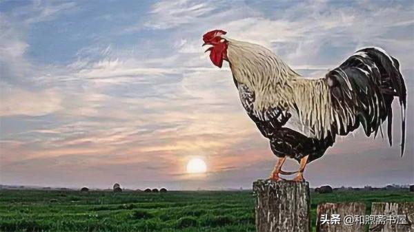 民間故事:小夥放生母牛,深夜母牛託夢:明天到村口接你媳婦 民間故事:小夥放生母牛,深夜母牛託夢:明天到村口接你媳婦