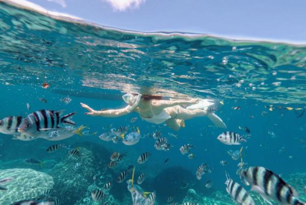 度假觀光特輯|仙本那:潛水迷的天堂,海底世界美到爆 度假觀光特輯|仙本那:潛水迷的天堂,海底世界美到爆