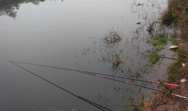 秋天過半，隨著溫度下降這九種魚要釣不到了，朋友們抓緊時間