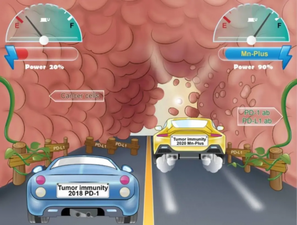 “錳”吃點，降低癌症發病率