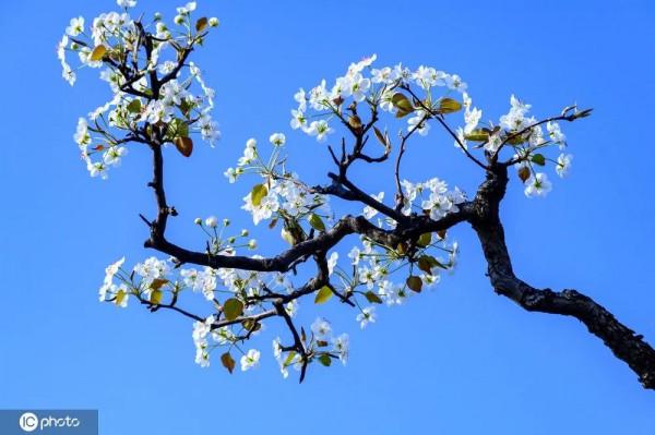 年度最佳 | 千龍網，2021年度回顧