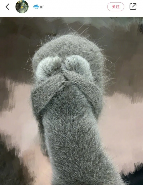 天冷了，哪個小貓咪不想來一雙純手工&OpenCurlyDoubleQuote;毛拖鞋&rdquo;呢