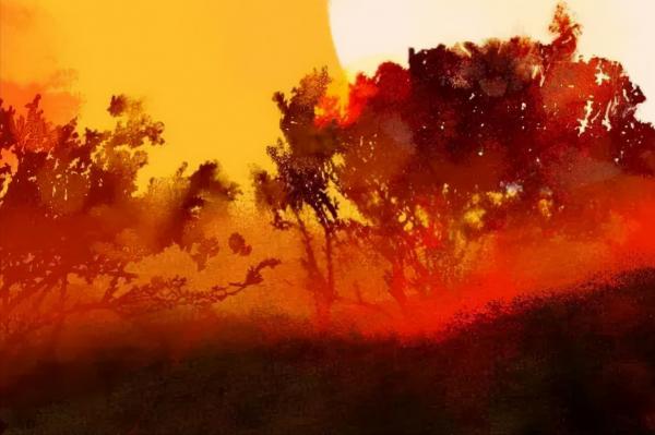 親子閱讀：《山海經》神奇而又豐富的招搖山