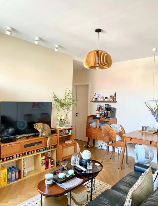 客餐廳燈飾究竟怎麼選?一篇看懂 客餐廳燈飾究竟怎麼選?一篇看懂