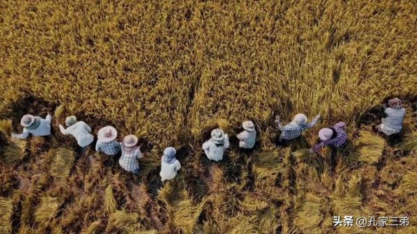 中國農民們如何安享晚年 中國農民們如何安享晚年