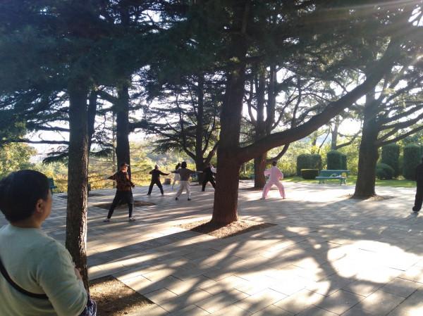 我常去遛彎的植物園 我常去遛彎的植物園