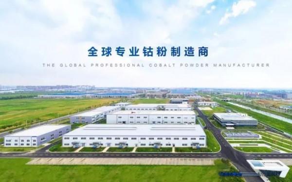 寒銳鈷業再次遞表港交所！未來或將迎來新的爆發契機？