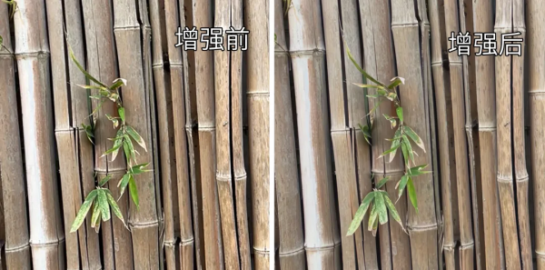 英偉達圖形技術大爆發，作畫、場景搭建無所不能