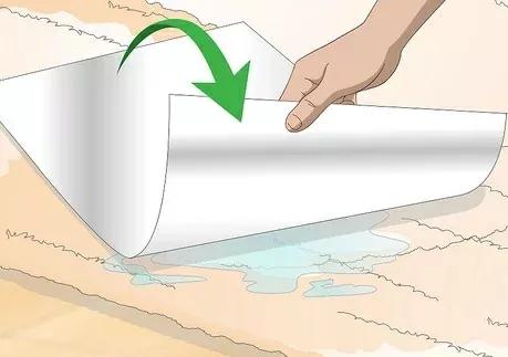 如何清除貓尿產生的汙漬